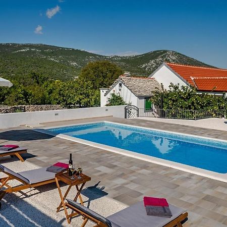 House Camellia With Fenced Pool And Playground Villa Blizna Donja Luaran gambar