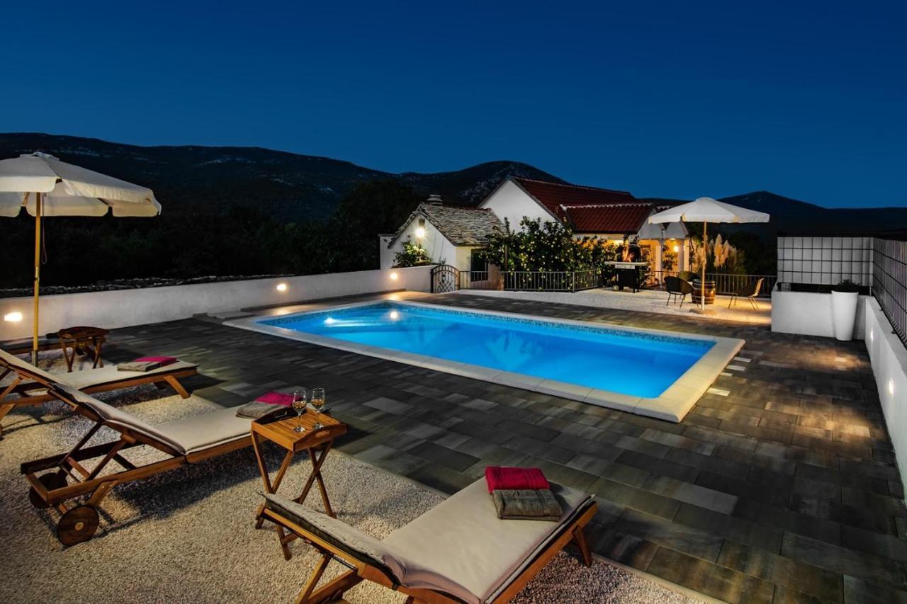 House Camellia With Fenced Pool And Playground Villa Blizna Donja Luaran gambar