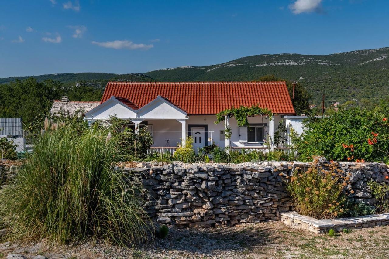 House Camellia With Fenced Pool And Playground Villa Blizna Donja Luaran gambar