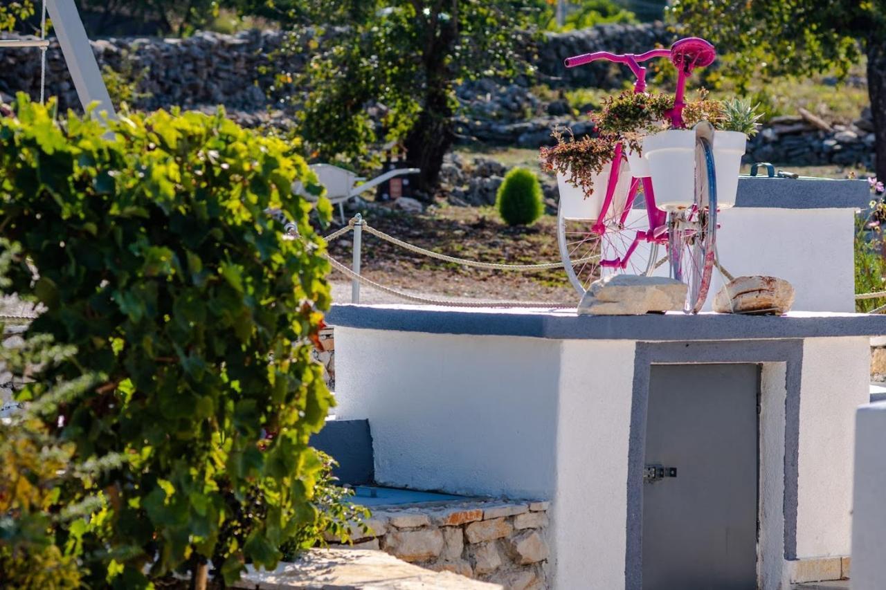 House Camellia With Fenced Pool And Playground Villa Blizna Donja Luaran gambar