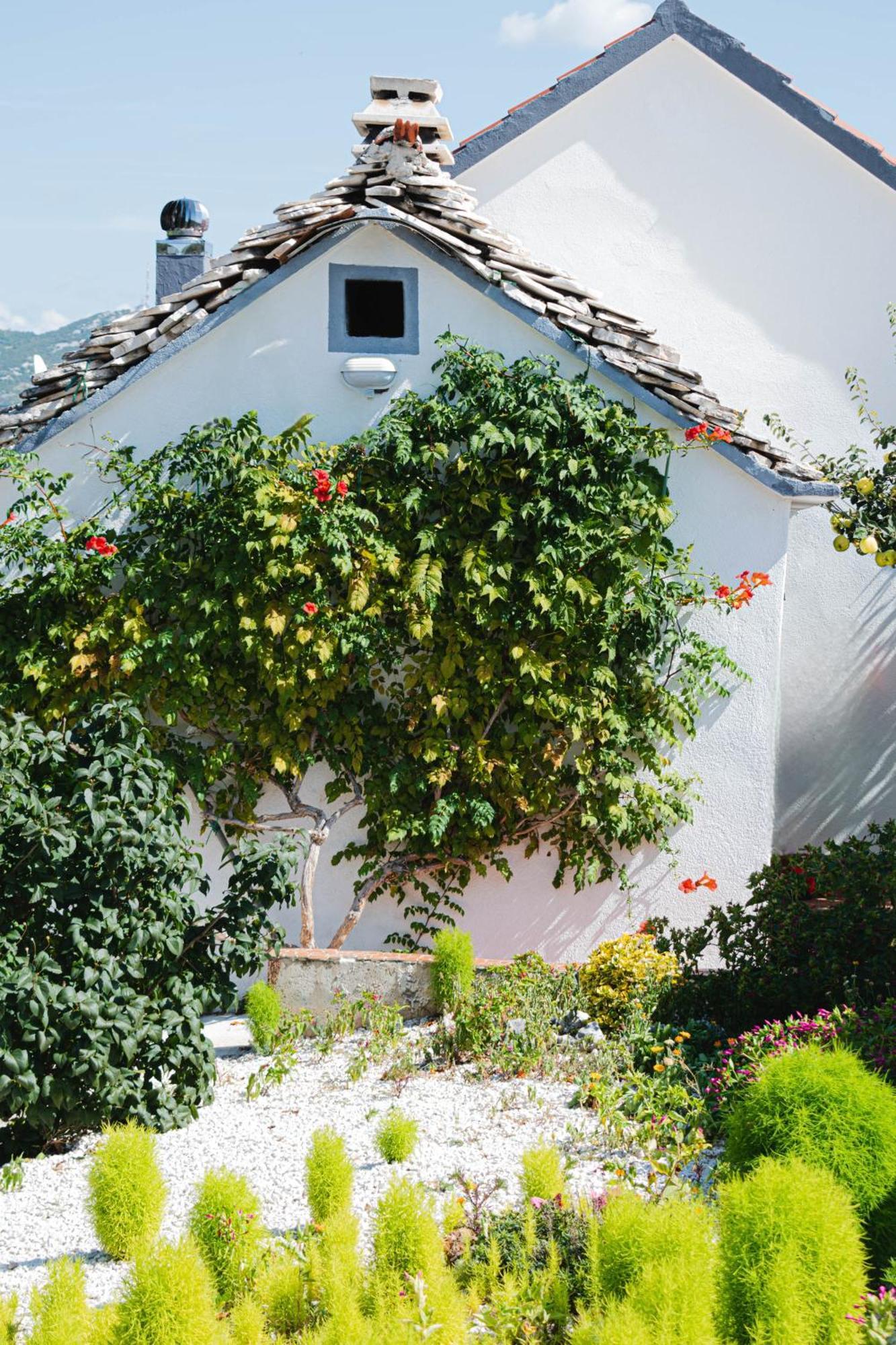 House Camellia With Fenced Pool And Playground Villa Blizna Donja Luaran gambar